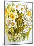 Daffodils, Narcissus, Forsythia and Primroses, 2000-Joan Thewsey-Mounted Giclee Print