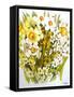 Daffodils, Narcissus, Forsythia and Primroses, 2000-Joan Thewsey-Framed Stretched Canvas