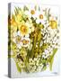 Daffodils, Narcissus, Forsythia and Primroses, 2000-Joan Thewsey-Stretched Canvas