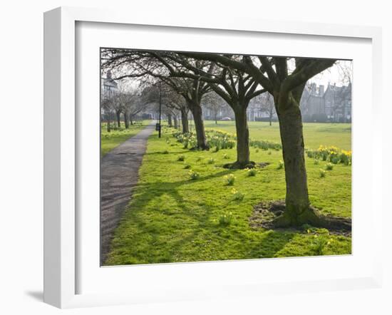 Daffodils on the Stray, Harrogate, North Yorkshire, England-Mark Sunderland-Framed Photographic Print