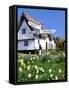 Daffodils, Road Sign and Cottage, Thriplow, Cambridgeshire-Peter Thompson-Framed Stretched Canvas