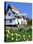 Daffodils, Road Sign and Cottage, Thriplow, Cambridgeshire-Peter Thompson-Stretched Canvas