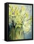 Daffodils, Uncle Remis and Ice Follies-Karen Armitage-Framed Stretched Canvas