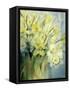 Daffodils, Uncle Remis and Ice Follies-Karen Armitage-Framed Stretched Canvas