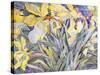 Daffodils, Van Vleck-Sharon Pitts-Stretched Canvas