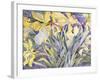 Daffodils, Van Vleck-Sharon Pitts-Framed Giclee Print