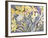 Daffodils, Van Vleck-Sharon Pitts-Framed Giclee Print