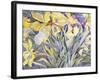 Daffodils, Van Vleck-Sharon Pitts-Framed Giclee Print