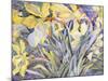 Daffodils, Van Vleck-Sharon Pitts-Mounted Giclee Print