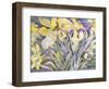 Daffodils, Van Vleck-Sharon Pitts-Framed Giclee Print