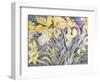 Daffodils, Van Vleck-Sharon Pitts-Framed Giclee Print