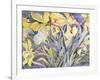 Daffodils, Van Vleck-Sharon Pitts-Framed Giclee Print