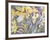 Daffodils, Van Vleck-Sharon Pitts-Framed Giclee Print