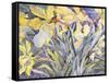 Daffodils, Van Vleck-Sharon Pitts-Framed Stretched Canvas