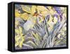 Daffodils, Van Vleck-Sharon Pitts-Framed Stretched Canvas