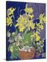 Daffodils with Jug-Frances Treanor-Stretched Canvas