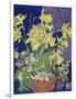 Daffodils with Jug-Frances Treanor-Framed Premium Giclee Print