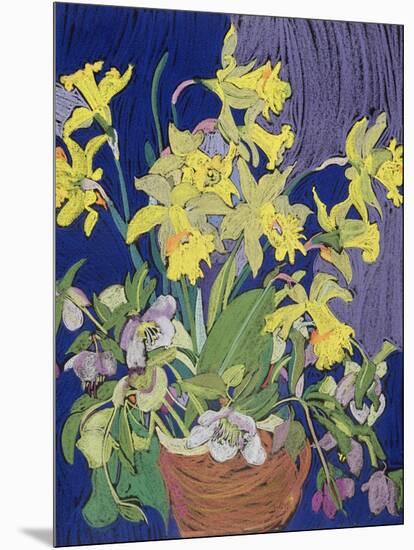 Daffodils with Jug-Frances Treanor-Mounted Premium Giclee Print