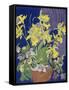 Daffodils with Jug-Frances Treanor-Framed Stretched Canvas