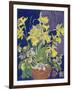 Daffodils with Jug-Frances Treanor-Framed Giclee Print