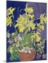 Daffodils with Jug-Frances Treanor-Mounted Giclee Print