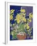 Daffodils with Jug-Frances Treanor-Framed Giclee Print