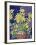 Daffodils with Jug-Frances Treanor-Framed Giclee Print