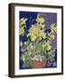 Daffodils with Jug-Frances Treanor-Framed Giclee Print