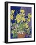 Daffodils with Jug-Frances Treanor-Framed Giclee Print