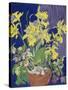 Daffodils with Jug-Frances Treanor-Stretched Canvas