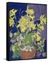 Daffodils with Jug-Frances Treanor-Framed Stretched Canvas