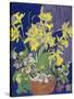 Daffodils with Jug-Frances Treanor-Stretched Canvas