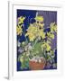 Daffodils with Jug-Frances Treanor-Framed Giclee Print