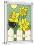 Daffodils with Kernel 4-Denny Driver-Stretched Canvas