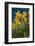 Daffodils-Ivonnewierink-Framed Photographic Print