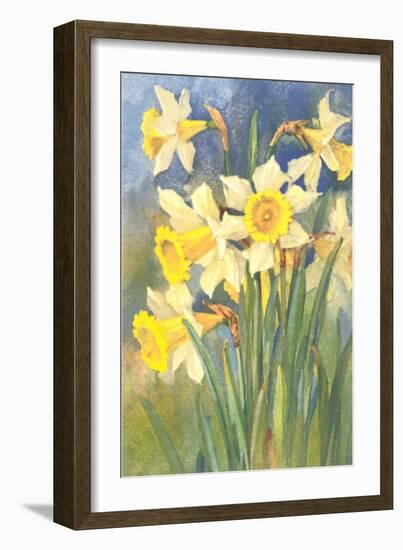 Daffodils-null-Framed Art Print