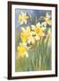 Daffodils-null-Framed Art Print