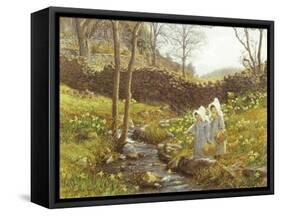 Daffodils-William Gersham Collingwood-Framed Stretched Canvas