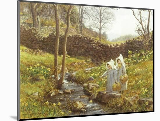 Daffodils-William Gersham Collingwood-Mounted Giclee Print