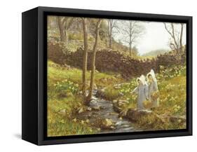 Daffodils-William Gersham Collingwood-Framed Stretched Canvas