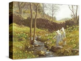 Daffodils-William Gersham Collingwood-Stretched Canvas