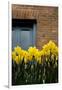 Daffodils-John Gusky-Framed Photographic Print