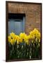 Daffodils-John Gusky-Framed Photographic Print