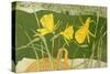 Daffodils-Valerie Daniel-Stretched Canvas
