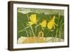 Daffodils-Valerie Daniel-Framed Giclee Print