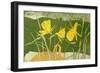 Daffodils-Valerie Daniel-Framed Giclee Print