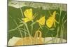 Daffodils-Valerie Daniel-Mounted Giclee Print