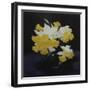 Daffodils-James Stuart Park-Framed Giclee Print