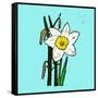 Daffodils-Sarah Thompson-Engels-Framed Stretched Canvas