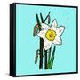 Daffodils-Sarah Thompson-Engels-Framed Stretched Canvas